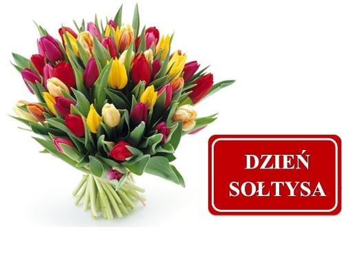 dzien soltysa