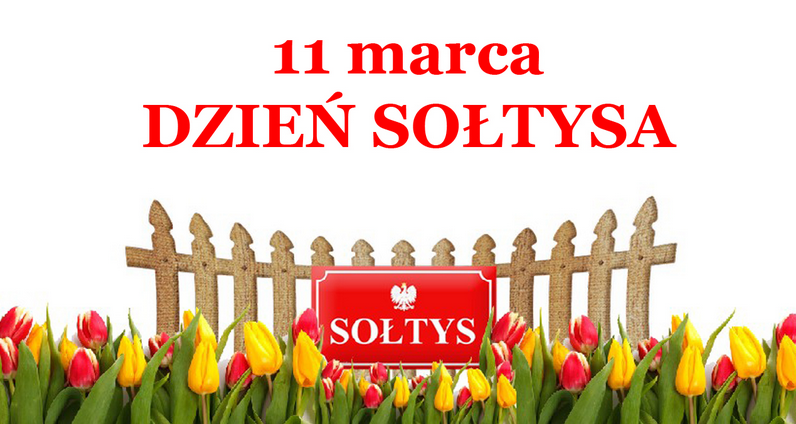 dzien soltysa